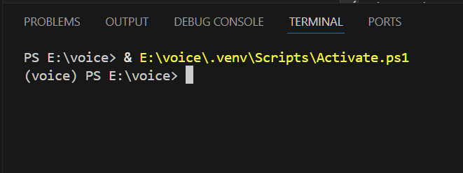 VSCode 终端